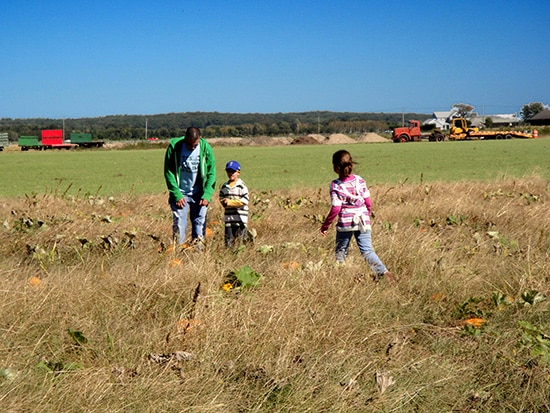 Best Pumpkin Picking on Long Island