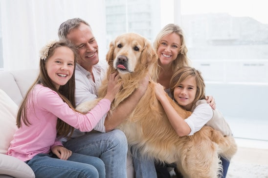 5 Great Family Pets