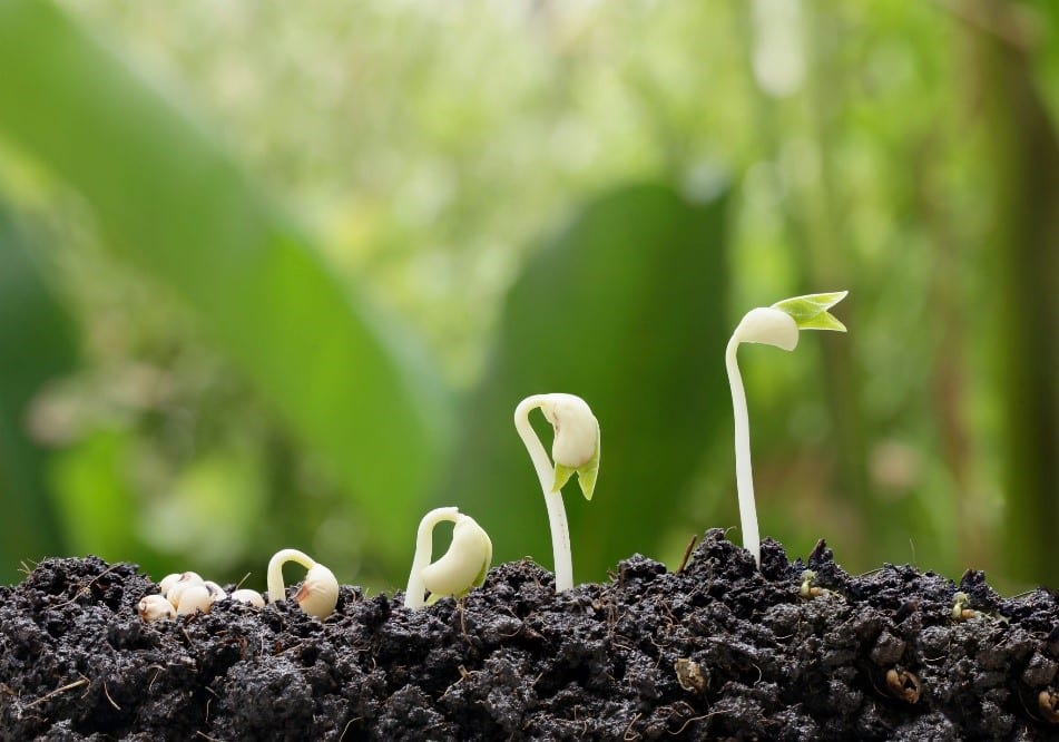 How to Build New Habits to Increase Productivity