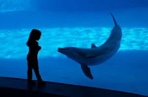 Family Activities & Entertainment in Nassau County